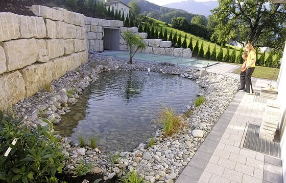 Teich mit Steinmauer in Hang perfekt integriert, Dürnten