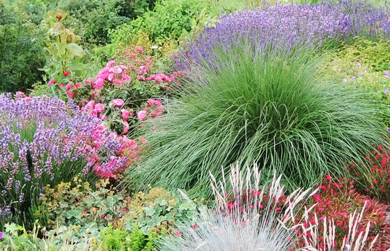 Staudenmischpflanzungen - Hubergartenbau