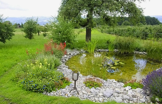 Teich, Wasserquelle - Hubergartenbau