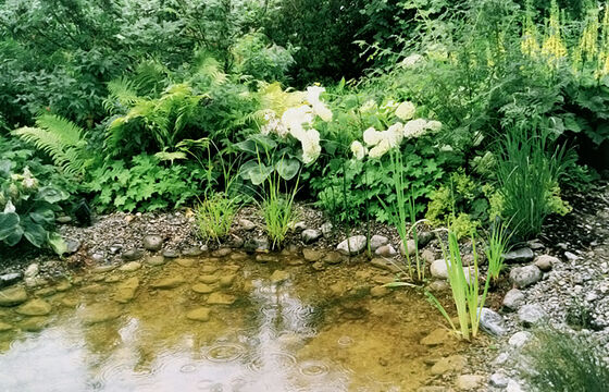 Gartenteich mit Randbepflanzung, Wolfhausen - Hubergartenbau